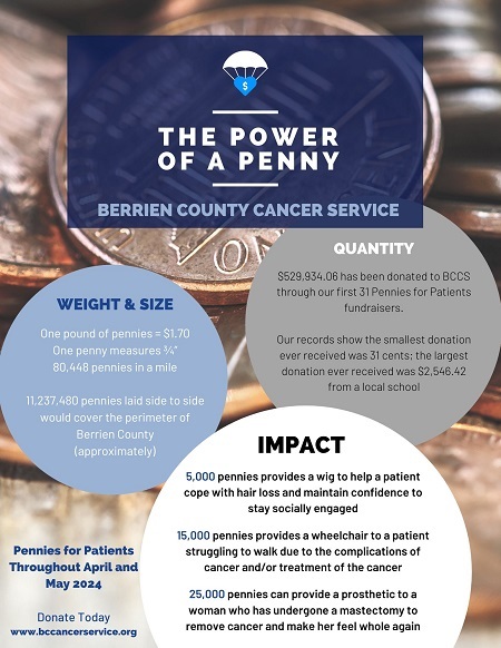 Power Of A Penny Fact Sheet Ws