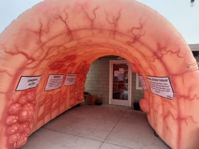 Healthy Colon